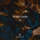 Wild Cards 14