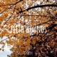 Flesh Wounds feat Casperrr Single
