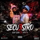 SECU3STRO Single