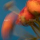 Silver feat George Gleeson Single