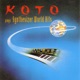 Plays Synthesizer World Hits