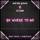 idk where to go feat Lil Sabb Single
