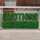 emotions Single