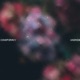 Unsaid Single
