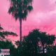 pink clouds Single