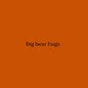 Big Bear Hugs Single