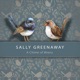 A Chime of Wrens Single