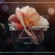 The Groove Single