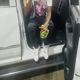Whippin Single