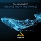 Message from the Whales Single