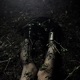 rotting season