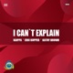 I Can t Explain Eric Kupper Radio Mix Single