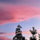 Paperthin Single