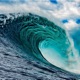 Wave feat Mayo Single