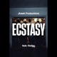 Ecstasy feat Hodgy Single