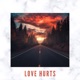 Love Hurts feat Rez Single