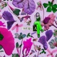 senga remixes Single