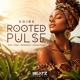 Rooted Pulse Single