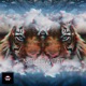 Mellowcat Single