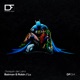 Batman Robin Single