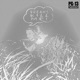 Dreams Kill Me Single