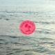 Surfer Girl Single