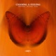 Chasing a Feeling Single