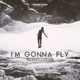 I m Gonna Fly Single