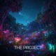 The Project Single