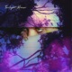 Twilight House Single