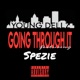 Going Through It feat Spezie Single