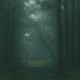 Rain over Silent Earth feat Amé Moonlit Mist Single