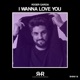 I Wanna Love You Single