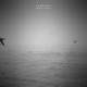 Free Fall Single