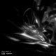 BEEN A LONG TIME feat Astroplaya Single