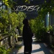 Idfsg Single