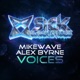 Voices Single