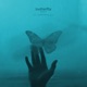 butterfly Remixes Single