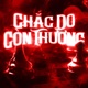 Chắc Do Còn Thương Cukak Remix Single