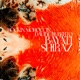 Bayati Shiraz EP