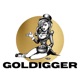 Goldigger Single