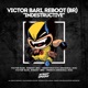 Indestructive Single