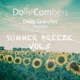Summer Breeze Single