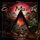 Back to the Shadows Wākhan Project Remix Single