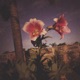 Life Love And the Pursuit of Despair Single