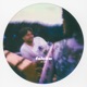 zu gut Single