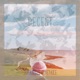 Decent Single