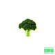 Brócolis ou Bonsai Single