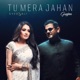 Tu Mera Jahan Single