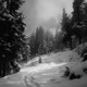 frostbound Single